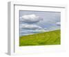 USA, Washington State, Palouse. Field of spring wheat with seed lines-Terry Eggers-Framed Photographic Print