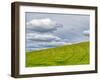 USA, Washington State, Palouse. Field of spring wheat with seed lines-Terry Eggers-Framed Photographic Print