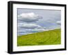 USA, Washington State, Palouse. Field of spring wheat with seed lines-Terry Eggers-Framed Photographic Print