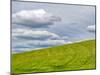 USA, Washington State, Palouse. Field of spring wheat with seed lines-Terry Eggers-Mounted Photographic Print