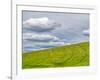 USA, Washington State, Palouse. Field of spring wheat with seed lines-Terry Eggers-Framed Photographic Print