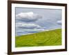 USA, Washington State, Palouse. Field of spring wheat with seed lines-Terry Eggers-Framed Photographic Print