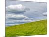 USA, Washington State, Palouse. Field of spring wheat with seed lines-Terry Eggers-Mounted Photographic Print