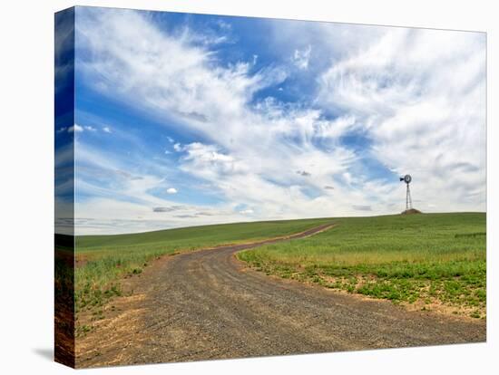 USA, Washington State, Palouse. Field road leading to weather vane-Terry Eggers-Stretched Canvas