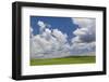 USA, Washington State, Palouse Hills. Field of Spring Peas-Don Paulson-Framed Photographic Print