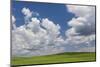 USA, Washington State, Palouse Hills. Field of Spring Peas-Don Paulson-Mounted Photographic Print