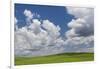 USA, Washington State, Palouse Hills. Field of Spring Peas-Don Paulson-Framed Photographic Print