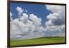 USA, Washington State, Palouse Hills. Field of Spring Peas-Don Paulson-Framed Photographic Print