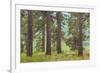 USA, Washington State, Palouse Hills. Pine Forest Scenic-Don Paulson-Framed Photographic Print