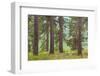 USA, Washington State, Palouse Hills. Pine Forest Scenic-Don Paulson-Framed Photographic Print