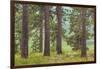 USA, Washington State, Palouse Hills. Pine Forest Scenic-Don Paulson-Framed Photographic Print