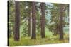 USA, Washington State, Palouse Hills. Pine Forest Scenic-Don Paulson-Stretched Canvas