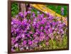 USA, Washington State, Palouse. Lichen covered fence post surrounded by dollar plant flowers-Sylvia Gulin-Framed Photographic Print