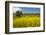 USA, Washington State, Palouse. Lone tree in a field of wheat with canola in the foreground.-Julie Eggers-Framed Photographic Print