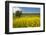 USA, Washington State, Palouse. Lone tree in a field of wheat with canola in the foreground.-Julie Eggers-Framed Photographic Print