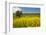 USA, Washington State, Palouse. Lone tree in a field of wheat with canola in the foreground.-Julie Eggers-Framed Photographic Print