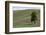 USA, Washington State, Palouse. Lone tree in the field in Colton.-Hollice Looney-Framed Photographic Print