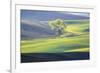 USA, Washington State, Palouse, Lone Tree in Wheat Field-Terry Eggers-Framed Photographic Print