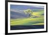 USA, Washington State, Palouse, Lone Tree in Wheat Field-Terry Eggers-Framed Photographic Print