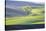 USA, Washington State, Palouse, Lone Tree in Wheat Field-Terry Eggers-Stretched Canvas