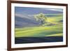 USA, Washington State, Palouse, Lone Tree in Wheat Field-Terry Eggers-Framed Premium Photographic Print