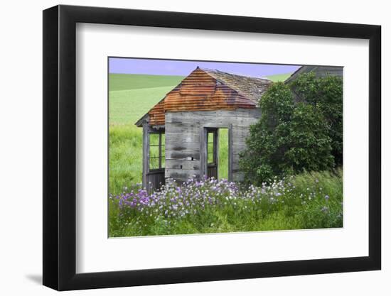 USA, Washington State, Palouse. Old abandoned house surrounded by wildflowers.-Julie Eggers-Framed Photographic Print