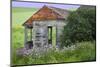 USA, Washington State, Palouse. Old abandoned house surrounded by wildflowers.-Julie Eggers-Mounted Photographic Print