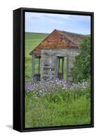 USA, Washington State, Palouse. Old abandoned house surrounded by wildflowers.-Julie Eggers-Framed Stretched Canvas