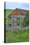 USA, Washington State, Palouse. Old abandoned house surrounded by wildflowers.-Julie Eggers-Stretched Canvas
