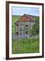 USA, Washington State, Palouse. Old abandoned house surrounded by wildflowers.-Julie Eggers-Framed Photographic Print