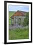 USA, Washington State, Palouse. Old abandoned house surrounded by wildflowers.-Julie Eggers-Framed Photographic Print