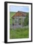 USA, Washington State, Palouse. Old abandoned house surrounded by wildflowers.-Julie Eggers-Framed Photographic Print