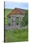 USA, Washington State, Palouse. Old abandoned house surrounded by wildflowers.-Julie Eggers-Stretched Canvas