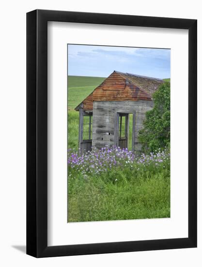 USA, Washington State, Palouse. Old abandoned house surrounded by wildflowers.-Julie Eggers-Framed Photographic Print