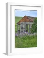 USA, Washington State, Palouse. Old abandoned house surrounded by wildflowers.-Julie Eggers-Framed Photographic Print