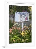 USA, Washington State, Palouse. Old mailbox surrounded by columbine wildflowers.-Julie Eggers-Framed Photographic Print