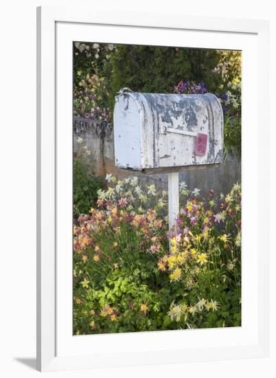 USA, Washington State, Palouse. Old mailbox surrounded by columbine wildflowers.-Julie Eggers-Framed Photographic Print