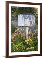 USA, Washington State, Palouse. Old mailbox surrounded by columbine wildflowers.-Julie Eggers-Framed Photographic Print