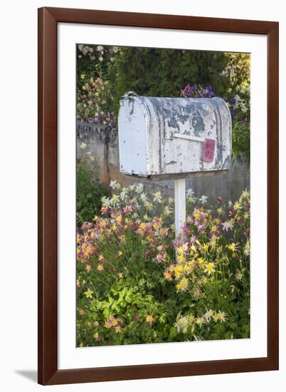 USA, Washington State, Palouse. Old mailbox surrounded by columbine wildflowers.-Julie Eggers-Framed Photographic Print