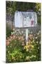 USA, Washington State, Palouse. Old mailbox surrounded by columbine wildflowers.-Julie Eggers-Mounted Photographic Print