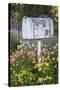 USA, Washington State, Palouse. Old mailbox surrounded by columbine wildflowers.-Julie Eggers-Stretched Canvas