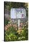 USA, Washington State, Palouse. Old mailbox surrounded by columbine wildflowers.-Julie Eggers-Stretched Canvas