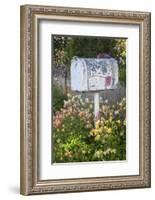 USA, Washington State, Palouse. Old mailbox surrounded by columbine wildflowers.-Julie Eggers-Framed Photographic Print