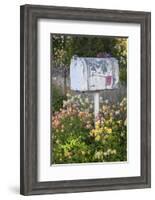 USA, Washington State, Palouse. Old mailbox surrounded by columbine wildflowers.-Julie Eggers-Framed Photographic Print