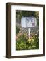 USA, Washington State, Palouse. Old mailbox surrounded by columbine wildflowers.-Julie Eggers-Framed Photographic Print