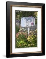 USA, Washington State, Palouse. Old mailbox surrounded by columbine wildflowers.-Julie Eggers-Framed Photographic Print
