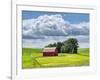 USA, Washington State, Palouse, Old Red barn with fresh green fields-Terry Eggers-Framed Photographic Print