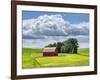 USA, Washington State, Palouse, Old Red barn with fresh green fields-Terry Eggers-Framed Photographic Print