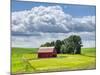 USA, Washington State, Palouse, Old Red barn with fresh green fields-Terry Eggers-Mounted Photographic Print