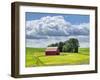 USA, Washington State, Palouse, Old Red barn with fresh green fields-Terry Eggers-Framed Photographic Print
